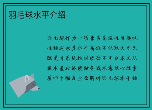 羽毛球水平介绍